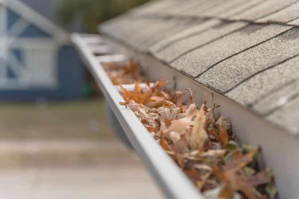 Leaf Barrier Installation in Arlington